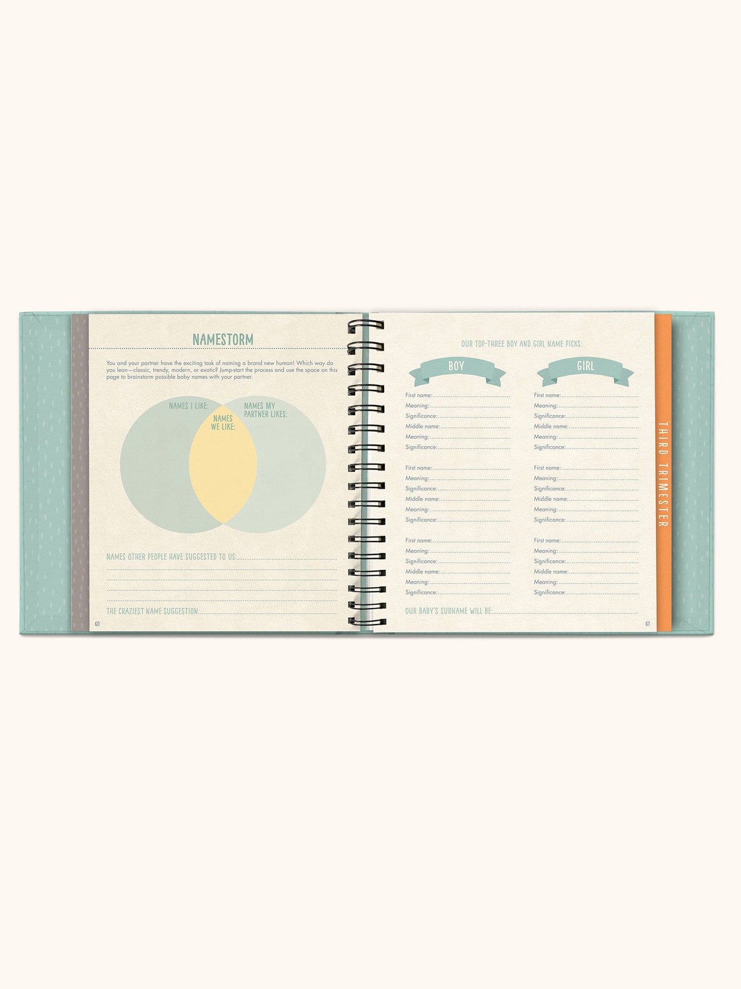 Bump For Joy Guided Journal