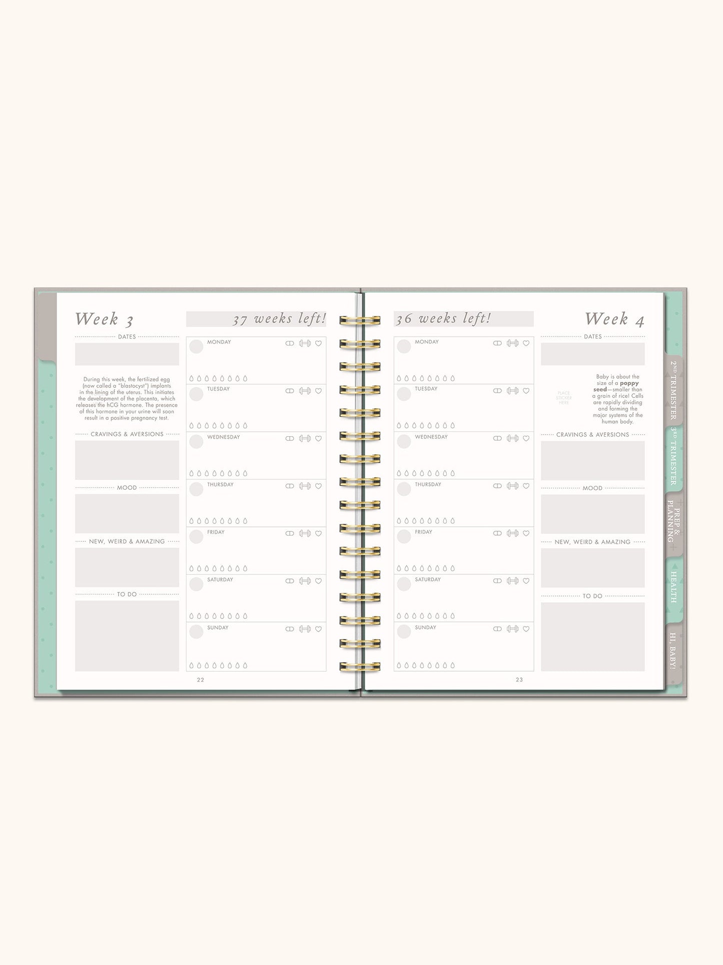 Countdown to Baby Undated Pregnancy Planner & Journal