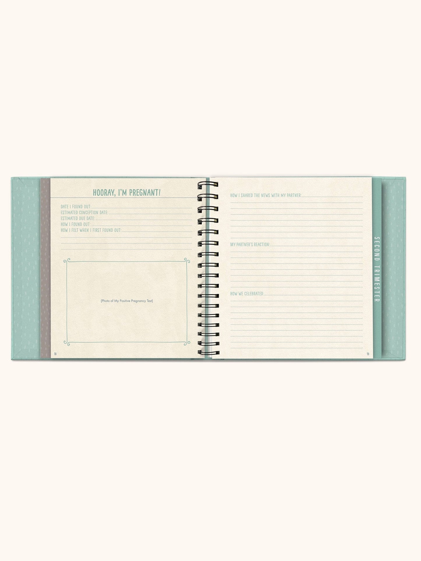 Bump For Joy Guided Journal